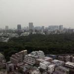 ウェスティンホテル東京 - 