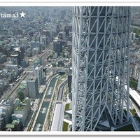 ブラッスリーオザミ 東京スカイツリータウン･ソラマチ店 - 眺望