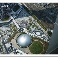 ブラッスリーオザミ 東京スカイツリータウン･ソラマチ店 - 眺望