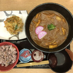Honke Sanukiya - かき揚げとカレーうどんの定食全容