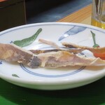 葵 - スルメイカ