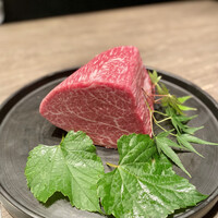 USHIGORO S. NISHIAZABU - 