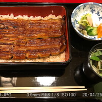 うなぎ割烹 大江戸 - 「さつき」うな重 いかだ2本入 \4,400 + 税