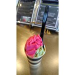 レタンプリュス - ジェラート  ピスタチオもフランボワーズも美味