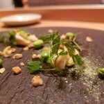 エノテカパージナ - 