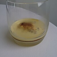 L'ORANGERIE - ②