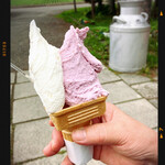 ウエモンズ ハート - 