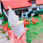 ウエモンズ ハート - 