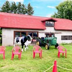 ウエモンズ ハート - 