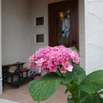 プレゼンテ スギ - 