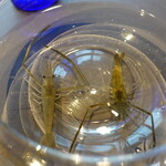 プレゼンテ スギ - 