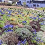 ヴィラデスト ガーデンファーム アンド ワイナリー - 