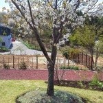 ヴィラデスト ガーデンファーム アンド ワイナリー - 