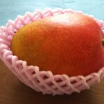 ボーノ - マンゴー  貰った  宮崎産完熟