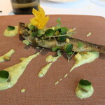 プレヴナンス - 郡上八幡鮎