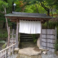 寺家 ひらさわ - 渋い門