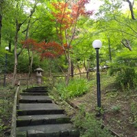 寺家 ひらさわ - 門をくぐって