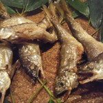 まき村 - 稚鮎焼揚アップ