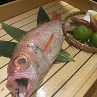 のどぐろ専門 銀座 中俣 - 