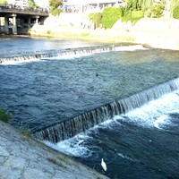 がんこ 高瀬川二条苑 - 