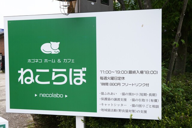 ねこらぼ 三河安城 その他 食べログ ねこらぼ 三河安城 その他 食べログ