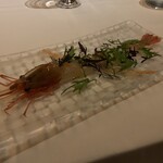 アルヴェアーレ - 