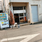 人類みな麺類 - 