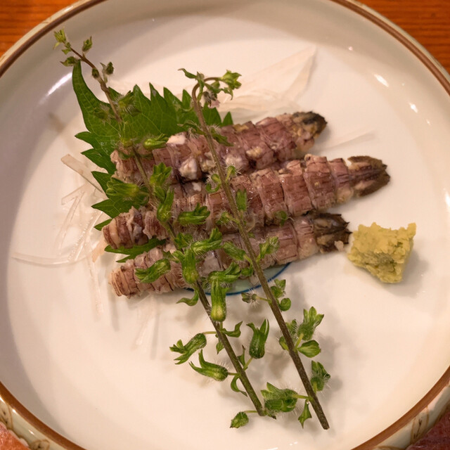 遊魚 和田丸 ゆうぎょ わだまる 神泉 魚介料理 海鮮料理 食べログ 遊魚 和田丸 ゆうぎょ わだまる 神泉 魚介料理 海鮮料理 食べログ