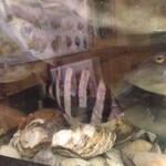 あかめ寿司 - シマダイが