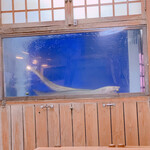 やなぎ - ハモちゃん