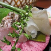 瓢嘻 西麻布店 - お造り<伊佐木焼霜造り>