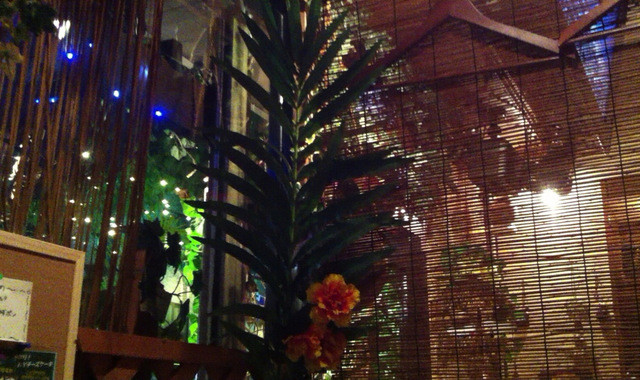 Dining Scene Izakaya Tirabu photo 4