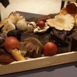 プレゼンテ スギ - 