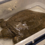 プレゼンテ スギ - 