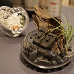 プレゼンテ スギ - 