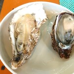 Teradomarichuuousuisammarunaka - 左が真牡蠣、右が岩牡蠣