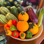 レストラン パタティ パタタ - ※お店 webページより