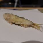 にい留 - しんこ：天草