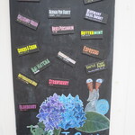 マウント デザート アイランド アイスクリーム - 