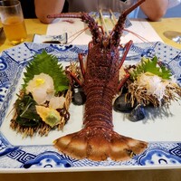 中納言 大阪駅前第3ビル店 - 