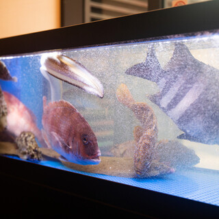 板前バル LIVE FISH MARKET_1