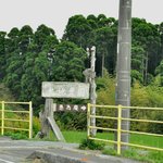 農家レストラン 愚為庵 - 表通り（県道273)から見た看板。これだけ・・