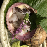 喜助 - 鳥貝造り