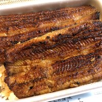 満寿家 - うな重（特上）持ち帰り