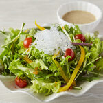 Ibaraki hydroponic vegetable green salad