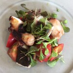 donner - タコのサラダ