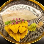 道人 - お造りはあまがれいとうに。