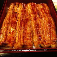 うなぎ 目白ぞろ芽 - 