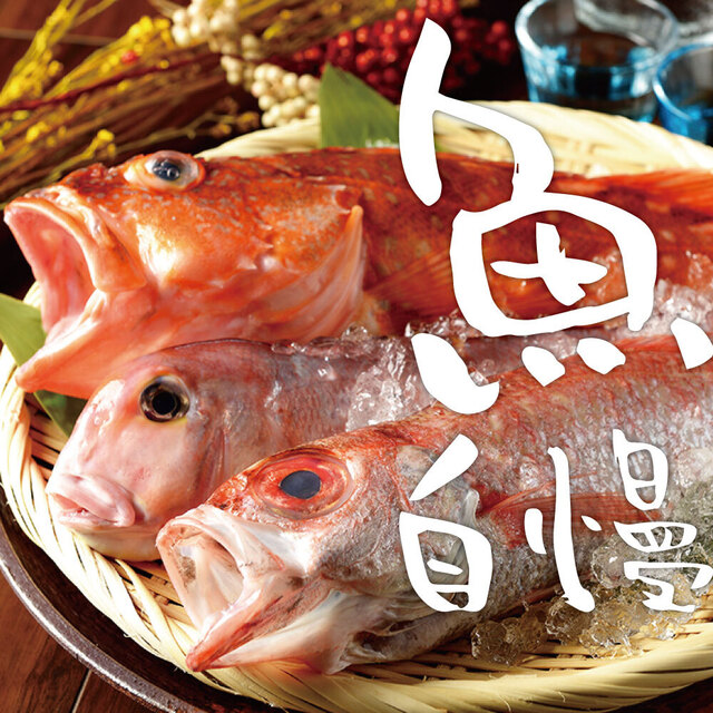 桜花 堀蔵 浜松店 第一通り 居酒屋 食べログ