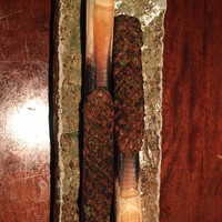 蕎麦懐石 無庵 - 